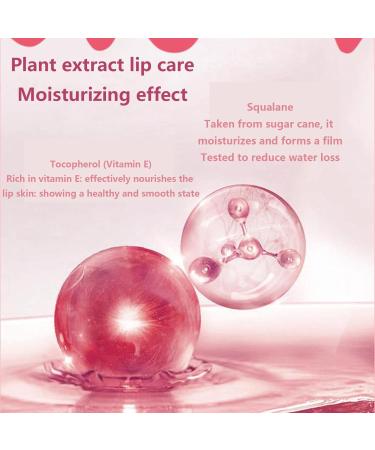 Lip Balm | Honey Lip Balm | Natural Formula Lip Moisturizer with Vitamin E All Day Moisturizing Lip Balm Hydrates Dry Chapped Lips Aokley - Buy Online on GoSupps.com