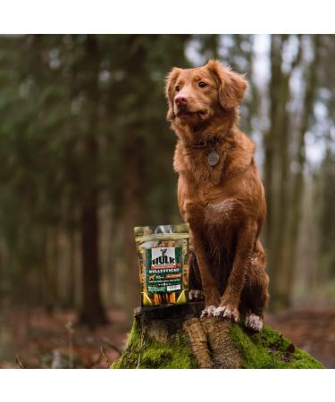 HULK Pet Products 6-inch Bully Sticks for Dogs (Pack of 5) - Natural Scent & Long Lasting Dog Dental Chew Made of Beef Pizzle Sourced from Grass-Fed Cattle with No Artificial Flavor 1 count (Pack of 5) - Buy Online on GoSupps.com