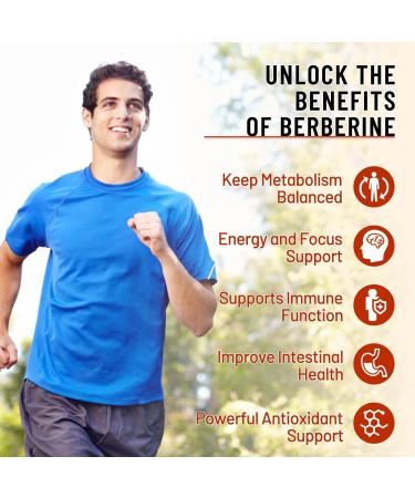 2 Pack 1500mg Berberine Gummies, High Potency Berberine Supplement with Ceylon Cinnamon Gummies, Turmeric, Magnesium, Sugar Free, Non-GMO, Gluten-Free - Mixed Berry Flavored 120 Gummies Mixed Berry 60 Count (Pack of 2) - Buy Online on GoSupps.com