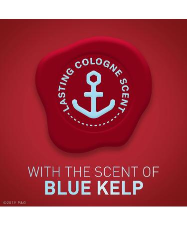 Old Spice Sea Spray Cologne Scent Men's Anti-Perspirant Deodorant - 2.6 oz | 48-Hour Protection - Buy Online on GoSupps.com