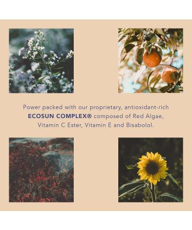 Aloe Antioxidant Calming Cream - Soothing Skincare for All Skin Types | International Shipping Available - Buy Online on GoSupps.com