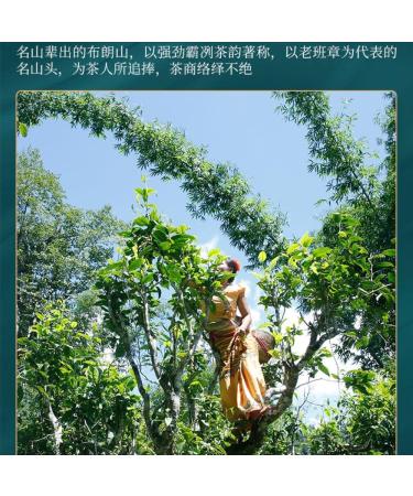Pu-erh tea 2022 Xinmane old tree 357g Raw - Buy Online on GoSupps.com