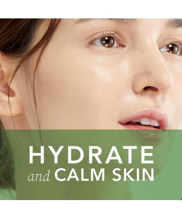 Korean CICA Mist Toner - Alcohol-Free, Soothing & Hydrating - 1.7 oz - Buy Online on GoSupps.com