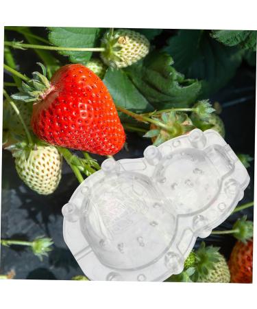 Parliky 1 Set Shaping Convenient Fruits Vegetable Shaper Ginseng Fruits and Vegetables Plastic - Buy Online on GoSupps.com