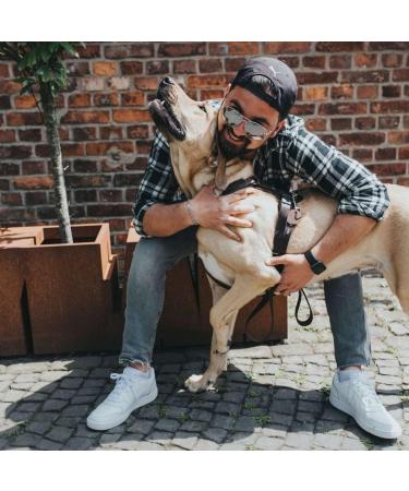 HUNTER Aalborg ML/2 Dark Brown Harness - Premium Quality for Dogs | International Shipping Available - Buy Online on GoSupps.com
