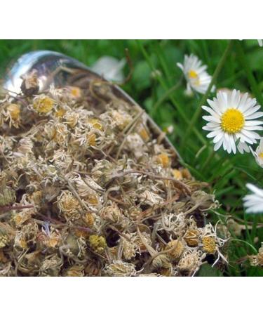 Krauterino24 Krauterino24 - Whole daisies (100 g)