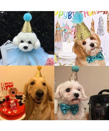 Buy Dog Birthday Hat Set - Sequin Accessories for Pet Parties | Blue & Pink 2 Pieces - Buy Online on GoSupps.com