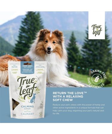 Trueleaf Petcare - Calming Support for Dogs (200g) - Natural Anxiety Relief Supplement Omega-3 Hemp Seed Oil L-Theanine Chamomile & Lemon Balm - Support Calm Behavior & Reduce Stress - 12 Pack - Buy Online on GoSupps.com