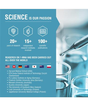 Endotelio 1-MNA Brain Anti-Aging Supplement Optimizes NAD+ with Ginkgo Biloba Zinc Biotin Vitamins C B1 B5 B6 B12 Mood Memory Concentration 30 Capsules - Buy Online on GoSupps.com