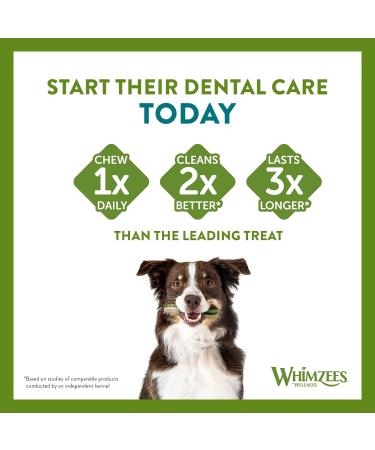 WHIMZEES Wellness Toothbrush Dog Chews for Medium Breeds - 30 Piece Month Box - Buy Online on GoSupps.com