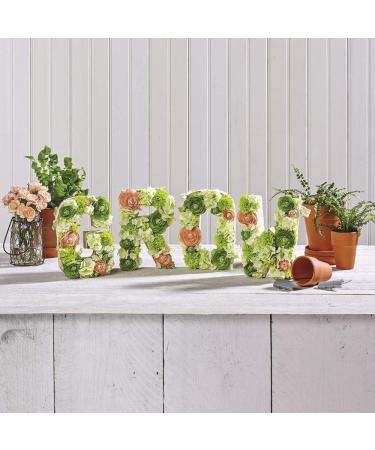 FloraCraft Floral Desert DryFM 2 Piece Brick 2.6 Inch x 3.4 Inch x 7.8 Inch Green - Buy Online on GoSupps.com