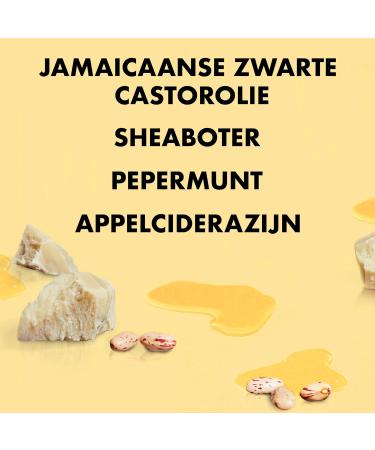 Unilever SheaMoisture Strenghten & Restore Conditioner for natural chemically treated or heatstyled hair Jamaican Black Castor Oil provides hydration 2 x 384 ml - Buy Online on GoSupps.com