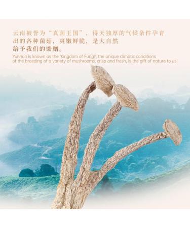  HQZMCTE Yunnan Chinese Natural Herbal Tea Air-Dried Natural Mushroom Specialty 150g / 5.29oz - Buy Online on GoSupps.com