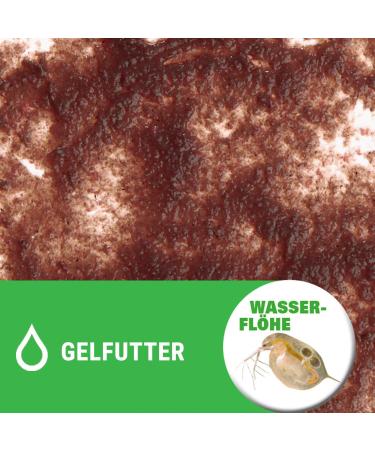 Tetra Freshdelica Daphnia - Natural Snack with Water Fleas for Decorative Fish | 16 x 3g Jelly Delicacies - 48g Pack - Buy Online on GoSupps.com