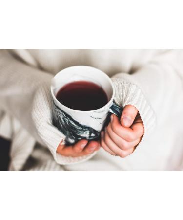  Richters Pack of 2 boxes of Ernst Richter Circulation Herbal Tea 100% natural herbal | For active circulation | 2 x 20 x 2g filter bags (Pack of 2) - Buy Online on GoSupps.com