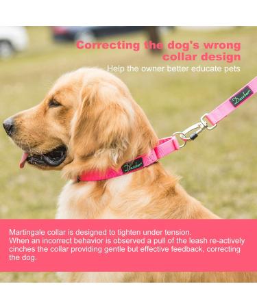 Dazzber Martingale Dog Collar - Large Adjustable Durable Nylon in Hot Pink - 1 Inch Wide Strong & Hard-Wearing - Buy Online on GoSupps.com