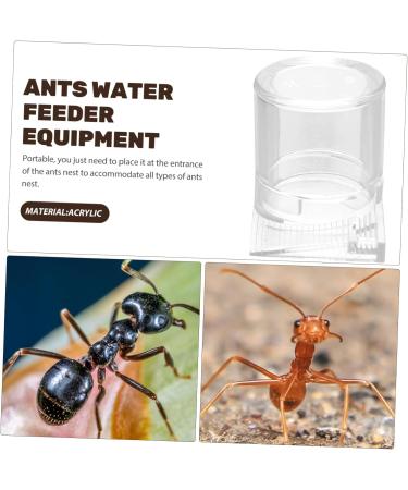 GREENADSCAPE Pet Water Feeder Ant Feeder Ant Feed Bowl Ant Keeper Tools Ant Bowl Ant Feeding Cup Plastic - Buy Online on GoSupps.com