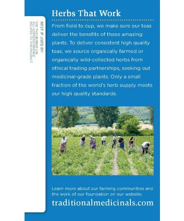 Traditional Medicinals Organic Stress Ease Cinnamon Tea - 32 Bags for Relaxation - Buy Online on GoSupps.com