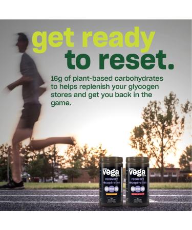 Vega Sport Post-Workout Recovery Accelerator Apple Berry (20 Servings) Vegan Non Dairy Gluten Free BCAAs 540g (Packaging May Vary) Apple Berry 20 Servings (Pack of 1) - Buy Online on GoSupps.com
