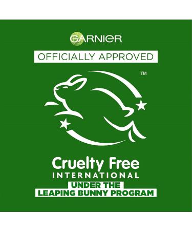 Garnier Hair Care Fructis Style Flat Iron Perfector Straightening Mist Sleek 2 Count Citrus 6 Fl Oz (Pack of 2) - Buy Online on GoSupps.com