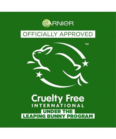 Garnier Fructis Sleek and Shine Leave-In Conditioning Cream 10.2 fl oz - Intensely Smooth | Pack of 1 - Buy Online on GoSupps.com