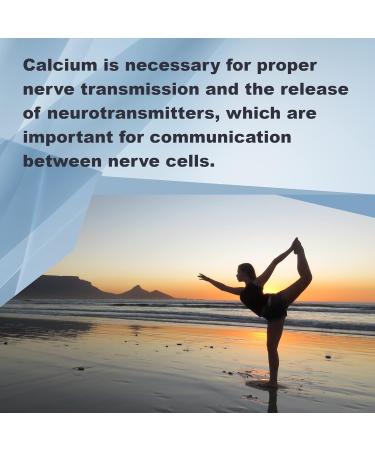 LifeLink's Calcium Orotate | 745 mg x 100 Tablets | Bone Health Cardiovascular Support | Gluten Free & Non-GMO | Made in The USA - Buy Online on GoSupps.com