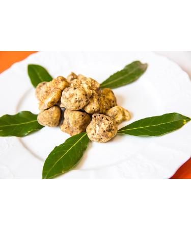 Tealdi White Tartuffon Truffle Cream - Premium Italian White Truffle & Porcini Mushroom Spread (80g) - International Shipping Available - Buy Online on GoSupps.com