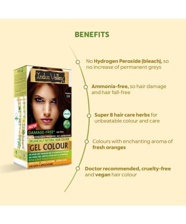 Indus Valley Burgundy Gel Hair Dye Colouring Kit 3.6 - Buy Online on GoSupps.com