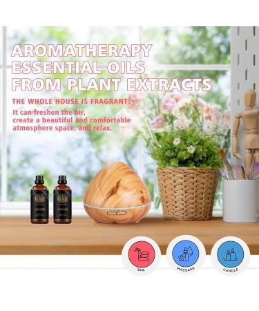 100% Pure Hinoki Oil for Aromatherapy - 100ml Air Freshener & Candle Production - Natural Essential Oil for Diffusers & Oil Burners - Buy Online on GoSupps.com