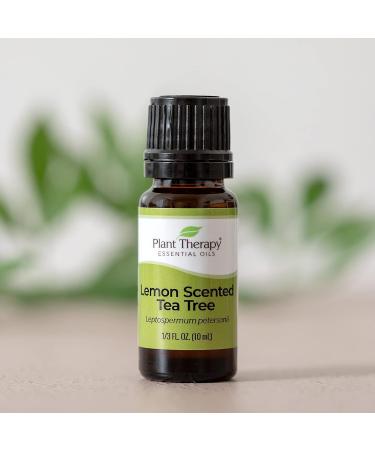 Buy Plant Therapy Lemon Scented Tea Tree Essential Oil 10 mL 100% Pure Natural Aromatherapy for Uplifting Refreshing & Deodorizing Aroma International Shipping Available - Buy Online on GoSupps.com