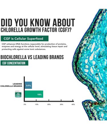 Organic Chlorella Powder - 4 Certifications, Raw & Sun Grown - High Nutrient & CGF Levels, 75 Servings - Buy Online on GoSupps.com
