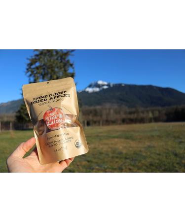 Sauk Farm LLC Organic Vegan Honeycrisp Dried Apples - 2.6 oz - Buy Online on GoSupps.com