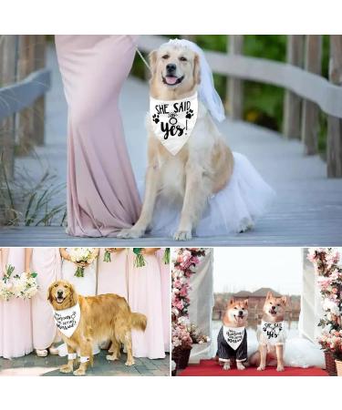 2PCS White My Humans are Getting Married She Said Yes Dog Wedding Engagement Bandana LMSHOWOWO Dog Bandana Wedding Engagement Announcement Gifts Pet Scarf Accessories for Dog Lovers Bridal Shower - Buy Online on GoSupps.com