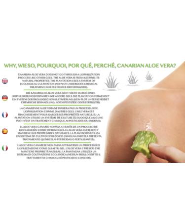 Aloe Vera & Olive Oil Cream | Deep Hydration | 300ml | Canary Islands Aloe Vera - International Shipping Available - Buy Online on GoSupps.com