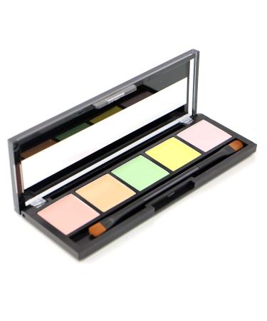 CITY COLOR Correct & Perfect Palette Long Lasting & Paraben Free F0050