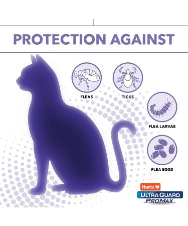 Hartz UltraGuard ProMax Flea & Tick Collar for Cats & Kittens - 2-Pack Purple - Soft & Comfortable Tick Prevention - Buy Online on GoSupps.com