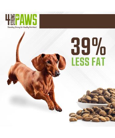 4 STRONG PAWS Chicken and Salmon Dry Dog Food - 28 Pound High Protein Dog Treats - Grain Inclusive Dog Food for Healthy Dog Bones Chicken and Salmon Grain Inclusive(Dog) 12.7 kg (Pack of 1) - Buy Online on GoSupps.com