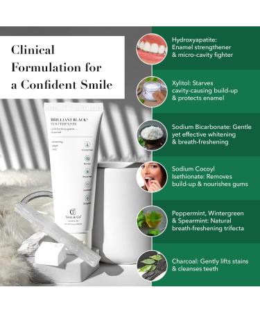 Terra & Co. Brilliant Black Charcoal Toothpaste | Natural Vegan Whitening & Remineralizing | Sensitive Teeth Formula | Mint | 3.4 oz - Buy Online on GoSupps.com
