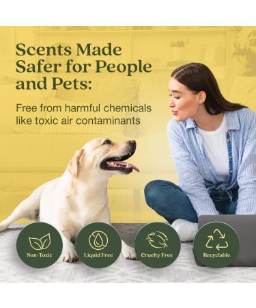 Enviroscent Non-Toxic Air Freshener - Lemon Leaf & Thyme Plug-In | 45+ Days of Home Fragrance | Refillable Essential Oil Set - Buy Online on GoSupps.com