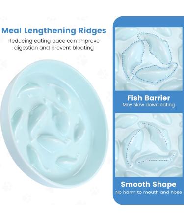 IDOGCHEW Ceramic Cat Slow Feeder Bowl - Anti-Gulping Puzzle Feeder for Healthy Eating - Non-Slip, Spill Proof - Green - Buy Online on GoSupps.com
