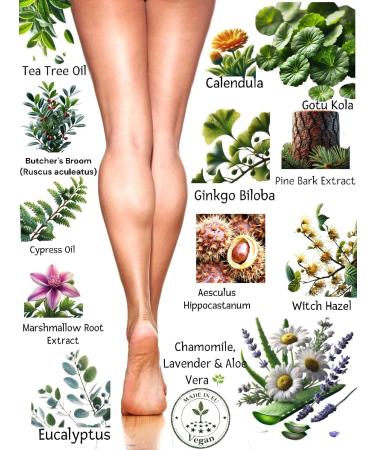  Varicobooster Foot Cream Gel 2 x 75 ml Over 25 Carefully Selected Ingredients New Improved Formula Based on Natural Components Nova Botea Airless-Pumpe - Buy Online on GoSupps.com