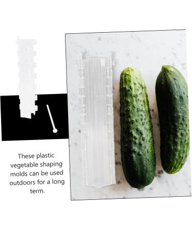 CIYODO 2pcs Melon and Fruit Shaping Mold Vegetables Transparent Cucumber Shaping Mold Cucumber Mold Shaper - Buy Online on GoSupps.com
