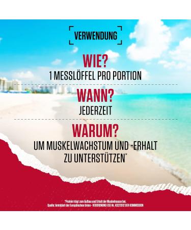 BSN Syntha 6 Ultra Protein Powder - New York Vanilla Cheesecake Flavor 48 Servings 2.26 kg - Low Sugar Muscle Growth & Repair - Buy Online on GoSupps.com