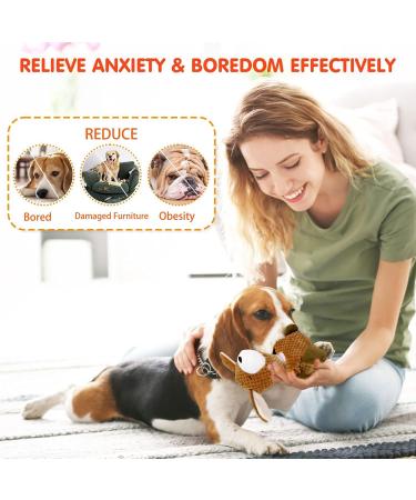 Buy Intelligence Sniffing Toys for Dogs | Squeaky & Stress-Reducing Toys for Medium Puppies | International Shipping - Buy Online on GoSupps.com