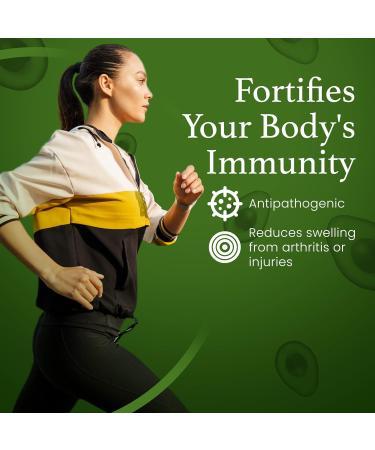 Organic Avocado Oil, 100% Pure ESS60 (.6 mg/mL) Supports Joint Health, Flexibility, Energy, Immunity, Sleep (4 oz) 4 Fl Oz - Buy Online on GoSupps.com