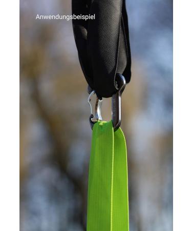 EagleFit Carabiner with Safety Lock - Secure Sling Trainer Attachment for Enhanced Workouts - Buy Online on GoSupps.com