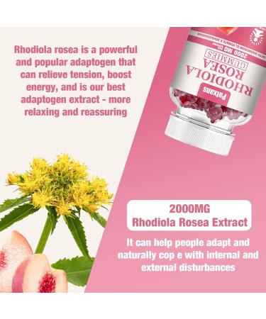 Buy 2 Packs 2000MG Sugar Free Rhodiola Rosea Gummies | Non-GMO Cortisol Reducer & Mood Support | 120 Vegetarian Chews for Stress Relief & Endurance - Buy Online on GoSupps.com