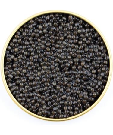 Northern Divine (Canadian Farmed) White Sturgeon Caviar - 30gr Tin - Buy Online on GoSupps.com