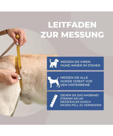 Nature PET Carrier for Dogs - Stair Aid with Carrying Strap - Ideal for Older Sick or Post-Op Dogs - Dog Lifting Belt (M Blue) | International Shipping - Buy Online on GoSupps.com