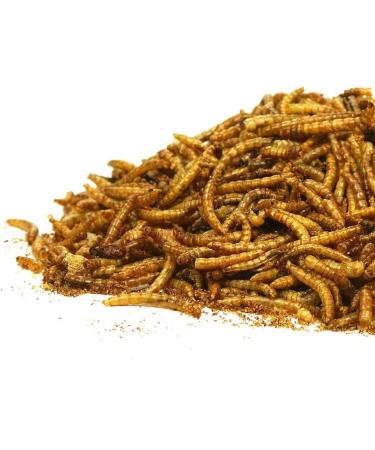 Buy GardenersDream Dried Mealworms - Premium Wild Garden Bird Food (10L) for Healthy Birds - Fast International Shipping - Buy Online on GoSupps.com